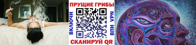наркотики  Братск  Галлюциногенные грибы мухоморы 
